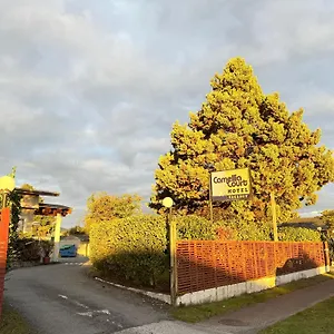 Camellia Court Family *** Lac Taupo